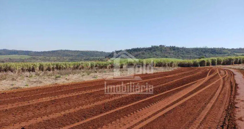 Sítio à venda, 69 alqueira em Cana-de-Açúcar por R$ 15.000.000 - Zona Rural - São Carlos/SP