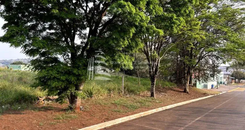 Terreno comercial à venda na Rua Paranavaí, 509, Centro, Ibema