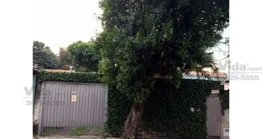 Chácara / sítio à venda na Avenida Yara, Vila Yara, São Paulo