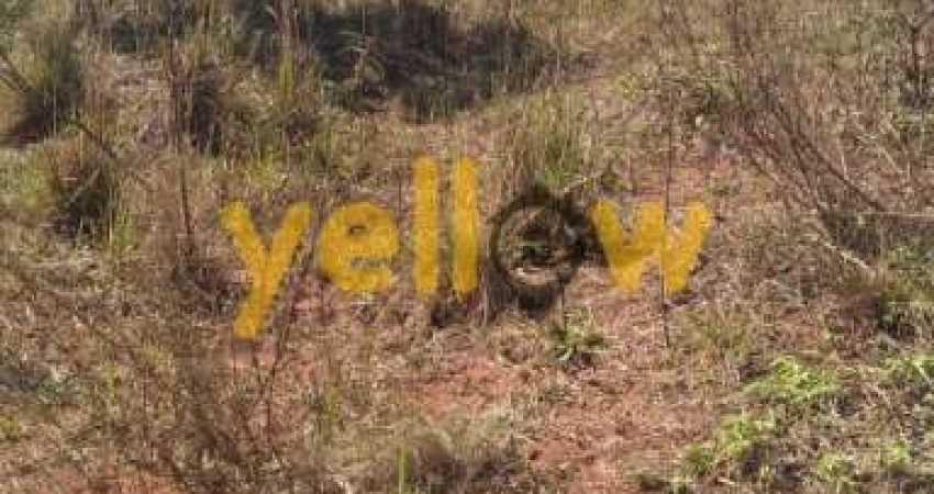 Terreno Rural à Venda em Santa Isabel - 1000m² por R$120.000