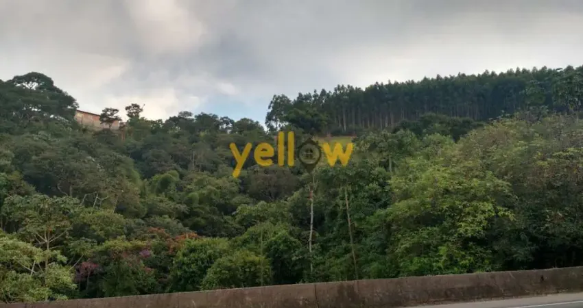 Terreno Rural em Alto de Igaratá  -  Igaratá