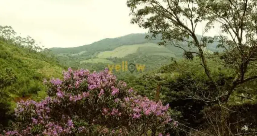 Chácara em Bairro Da Pedra Branca - Santa Isabel com 200m², 3 dormitórios e 3 banheiros por R$380.000 - Venda .