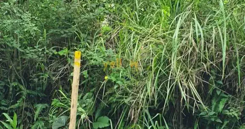 Se você está em busca de um lugar tranquilo e afastado da correria da cidade para construir a casa dos seus sonhos ou investir em um negócio rural, este terreno rural em Morro Grande - Santa Isabel é 