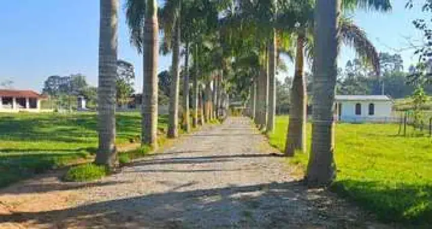 Sítio à venda em santa isabel, 240.000m², 4 quartos, r$4,5mi