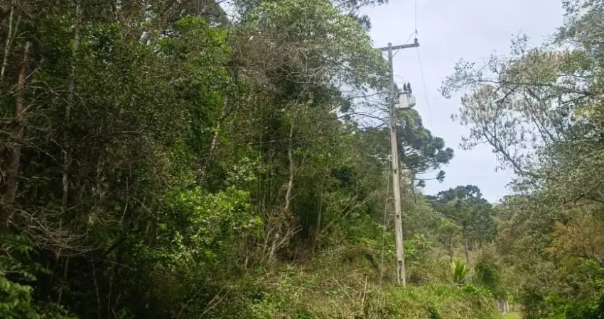 Chácara / sítio à venda na Rua Catarina knapik, Palmitalzinho, Quatro Barras
