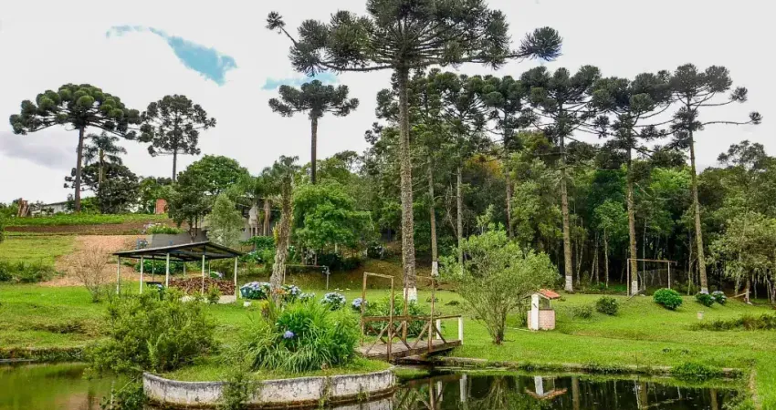 Espetacular Chácara a venda em São José dos Pinhais