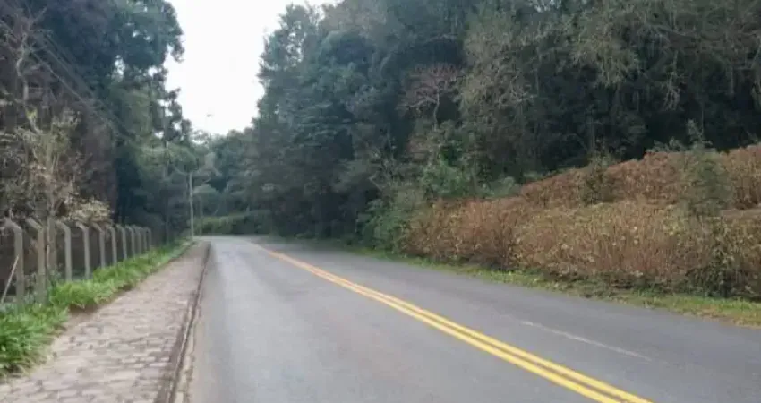 Oportunidade exclusiva para investidores e moradia – campo largo/pr