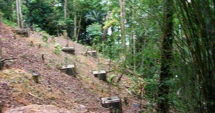 Terreno à venda, 1625 m² por R$ 8.000.000,00 - Taguaiba - Guarujá/SP