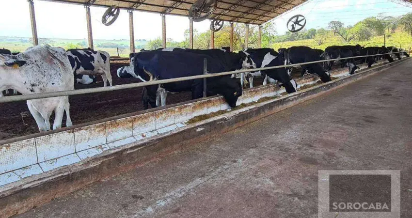 Fazenda à venda, 750200 m² por R$ 4.500.000,00 - Centro - Emilianópolis/SP