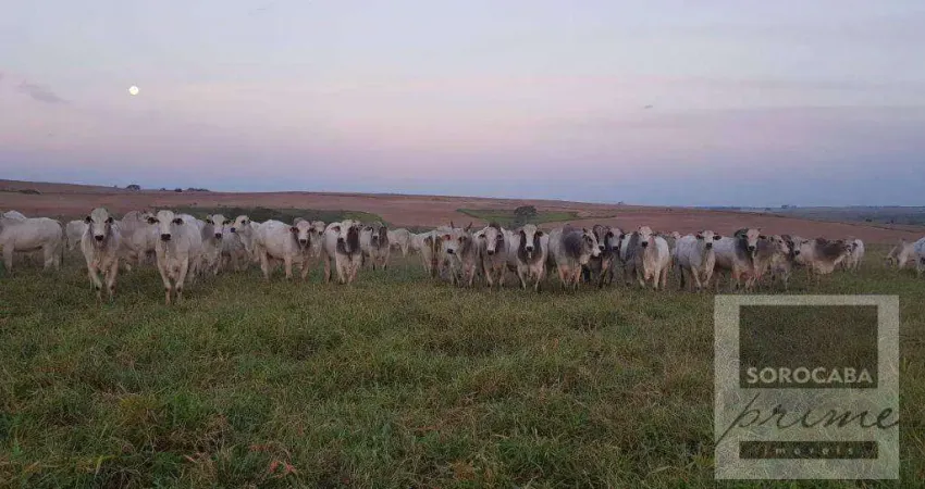 Fazenda à venda, 26136000 m² por R$ 165.000.000,00 - Centro - Pompéia/SP