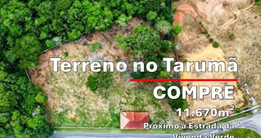 Terreno à Venda, Tarumã, 11.670m², Próximo à Estrada da Vivenda Verde