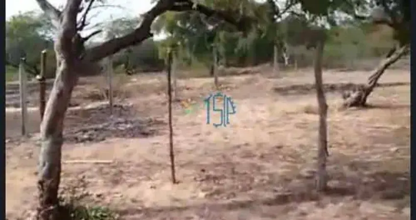 Terreno em nisia floresta / terreo com 4.000 metros / terreno regularizado / terreno com poço cartesiano / terreno com granja / terreno para investir