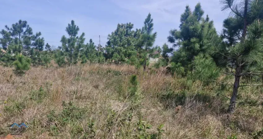 Terreno à venda na Rua dos Ypês, 1006, Rota do Sol, Passo de Torres