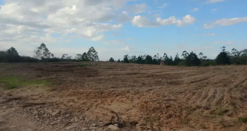 Chácara / sítio à venda na Estrada Geral, 1010, São Francisco, Passo de Torres