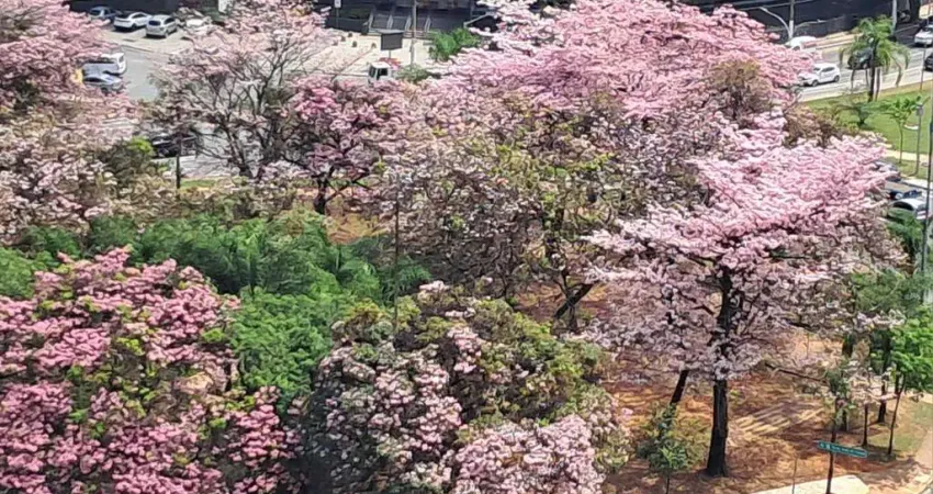 Apartamento mobiliado para locação dr. rubens meireles, barra funda/sp