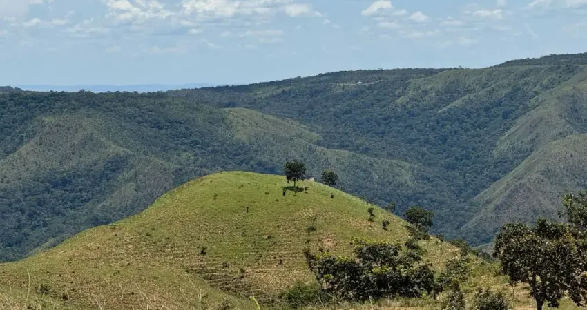 Fazenda à venda na Rua Manoel Perdigão, Zona Rural, Bom Jardim de Goiás