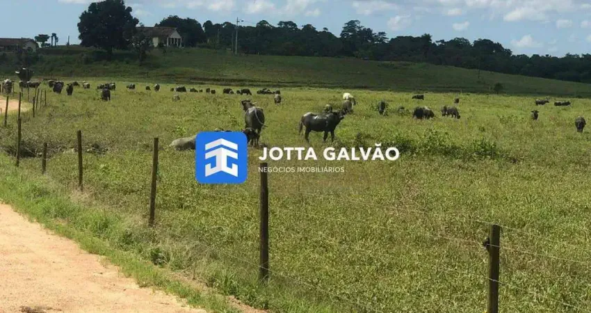 Chácara / sítio à venda na Avenida Adhemar de Barros, Centro, Iguape
