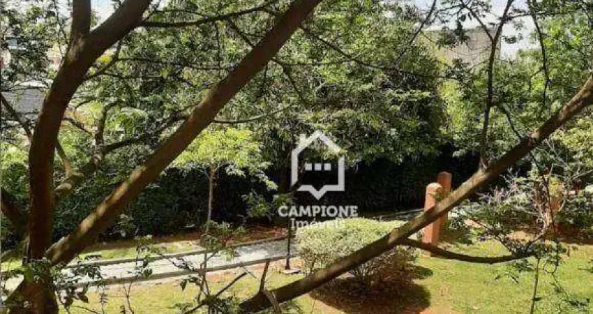 Apartamento à venda, 48 m² por R$ 256.000,00 - Vila Bela Vista - São Paulo/SP