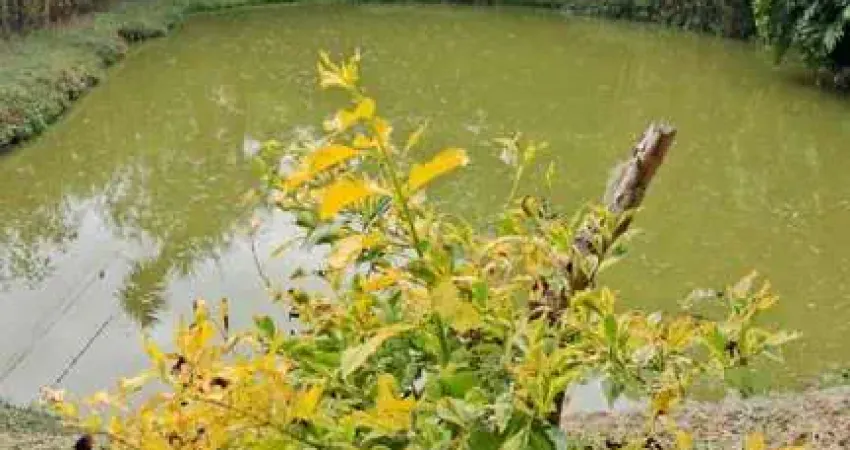 Chácara para Venda em Suzano, QUINTA DIVISÃO, 2 dormitórios, 2 banheiros, 2 vagas
