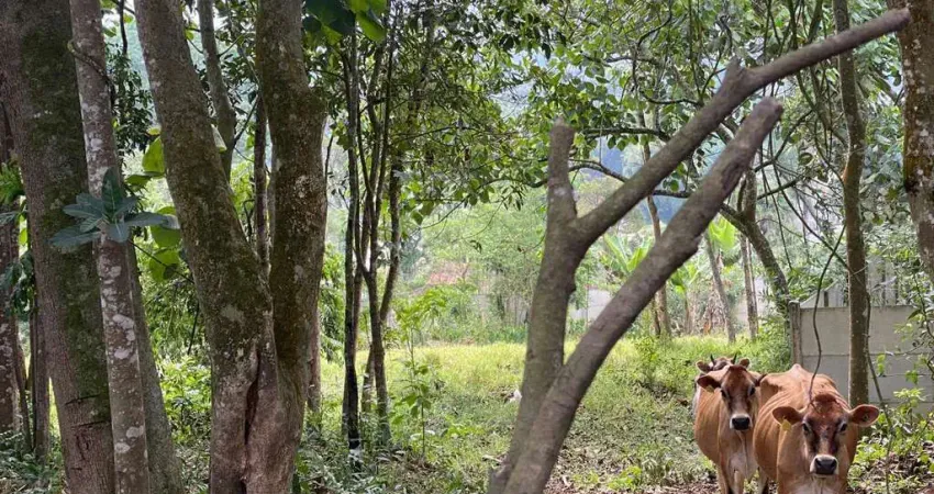 Chácara para Venda em Ribeirão Pires, Somma, 3 dormitórios, 4 banheiros, 4 vagas