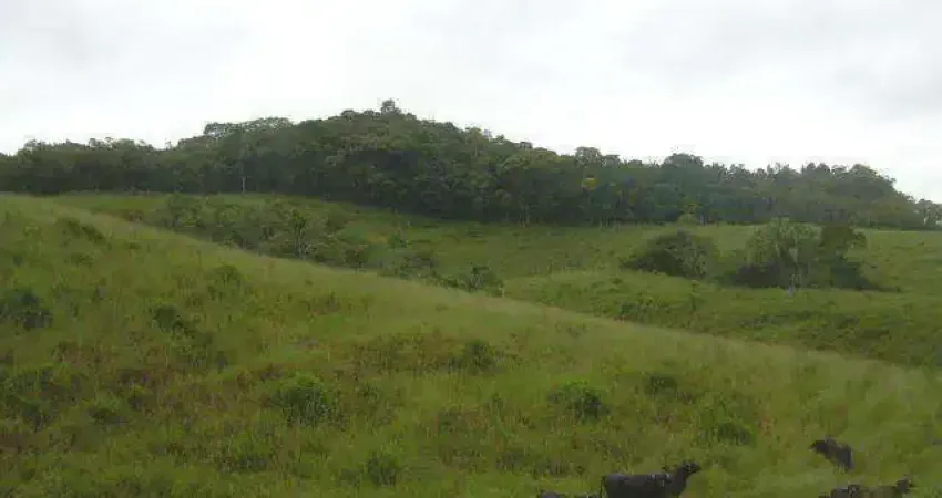 Terreno à venda no Parque Santa Rosa, Suzano 