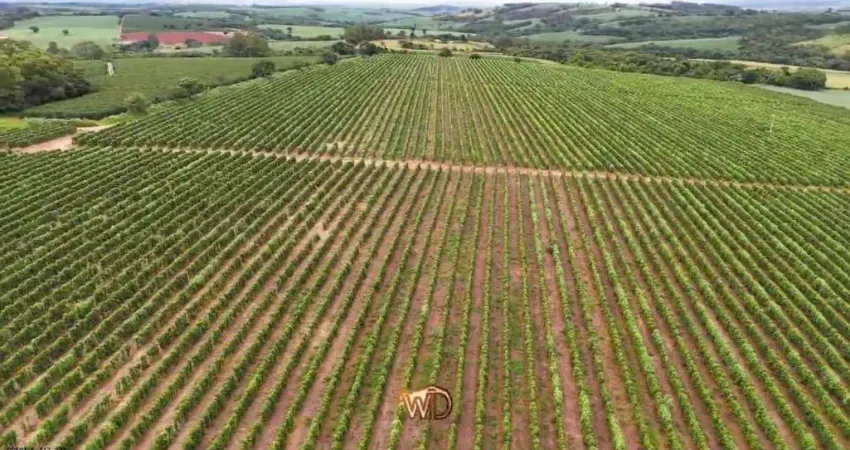 Fazenda à venda no Centro, São José da Barra 