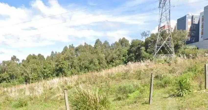 Terreno à venda na Rua Barão do Amazonas, Diamantino, Caxias do Sul