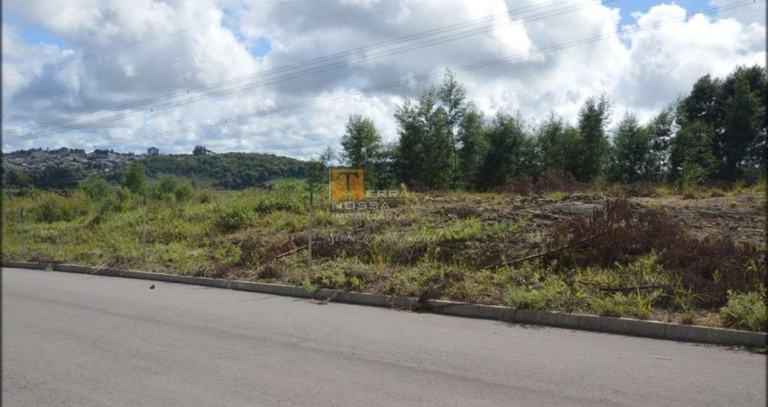 Terreno à venda na Santo Zanella, São Luiz, Caxias do Sul