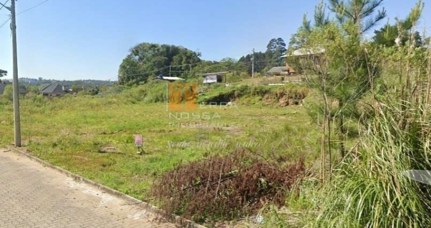 Terreno à venda na Rua Doutor Abelardo Antonio Ferreira Cavalcanti, 586, São Caetano, Caxias do Sul