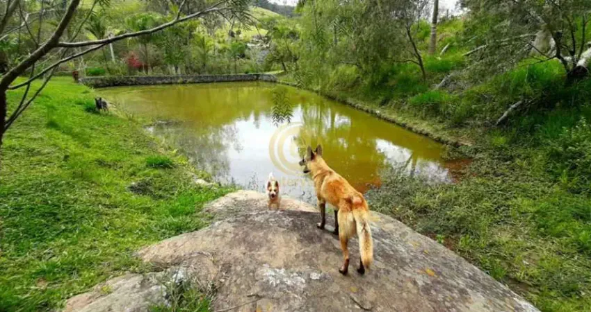 Chácara / sítio com 2 quartos à venda na Estrada Arlindo Alves Vieira, Jardim Colinas, Jacareí