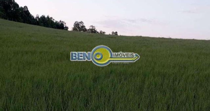 Linda área rural com 10 hectares Na Fazenda Fialho Próximo à RS 020 em Gravataí.