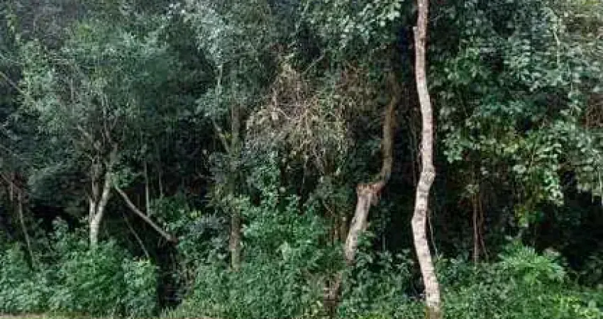 Lote em condomínio à venda, condomínio cantegril - viamão/rs
