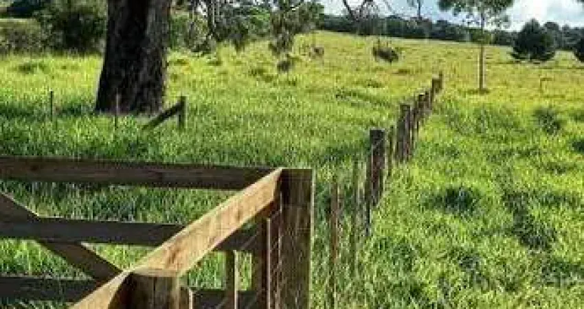 Chácara / sítio à venda na Estrada João Fonseca Montano, 1200, Casa Parada 73 - Bloco Ponta do Aterro, 1200, Águas Claras, Viamão