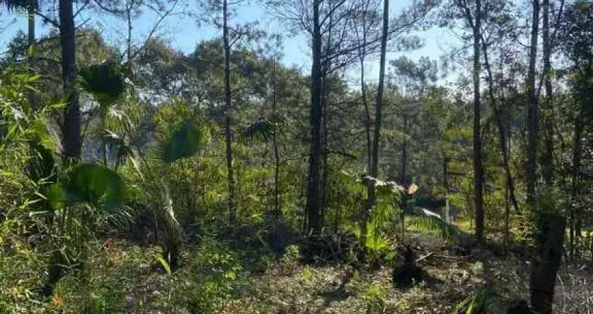 Terreno à venda na Avenida João Carlos Viale Dias, 954, Tarumã, Viamão