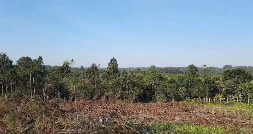 Chácara / sítio à venda na Rua José Florêncio dos Santos, 124, Passo do Vigário, Viamão