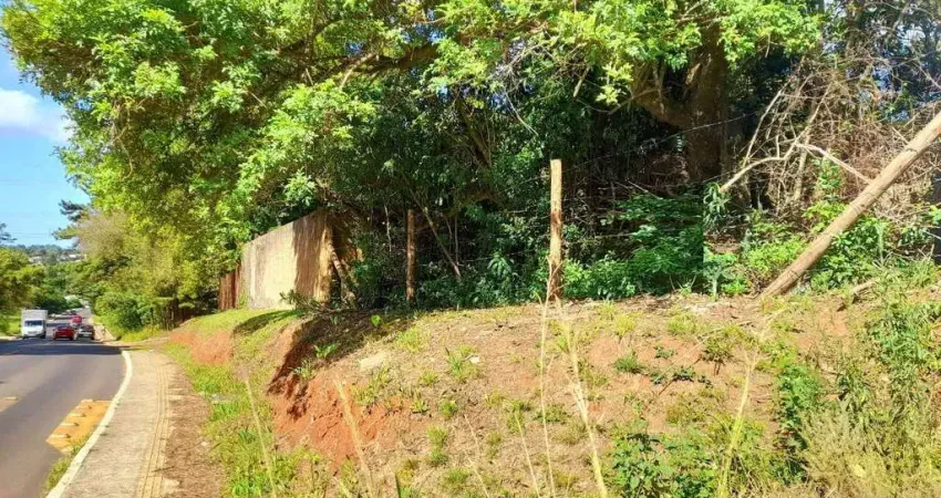 Terreno à venda na Avenida João Carlos Viale Dias, 30, Tarumã, Viamão