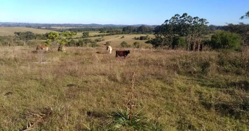 Chácara / sítio com 4 quartos à venda na Estrada da Estancia Grande, 999, Estância Grande, Viamão