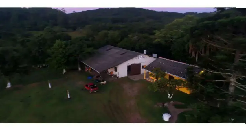 Chácara / sítio com 3 quartos à venda na Rodovia Coronel Acrísio Martins Prates, 3335, Passo da Areia, Viamão