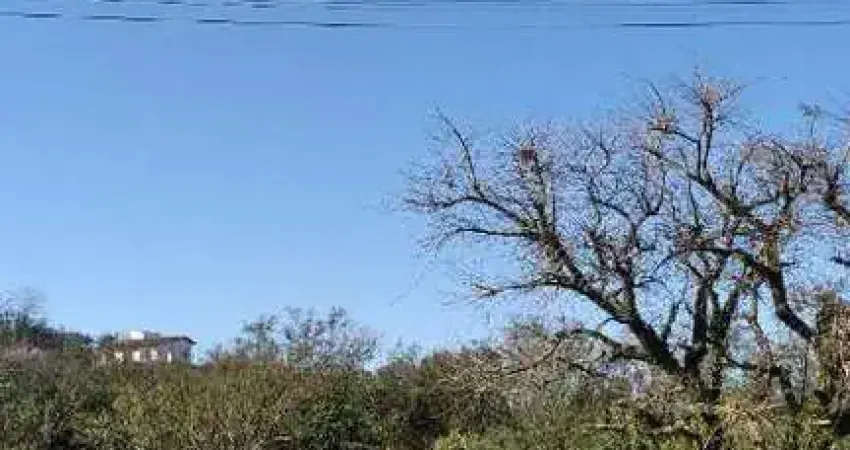 Terreno em condomínio fechado à venda na Rua Tenente Mário Telles Ferreira, 200, Tarumã, Viamão