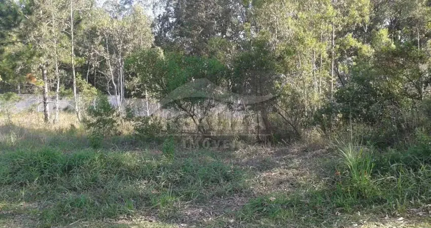 Terreno em condomínio fechado à venda na Avenida Liberdade, 4000, Santa Isabel, Viamão