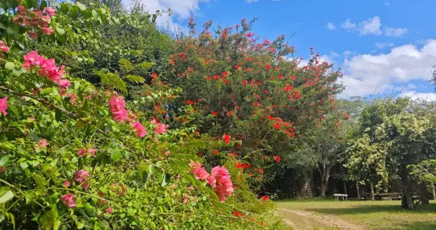 Sítio à venda, 7 quartos, 2 suítes, 10 vagas, águas claras vi (águas claras) - viamão/rs