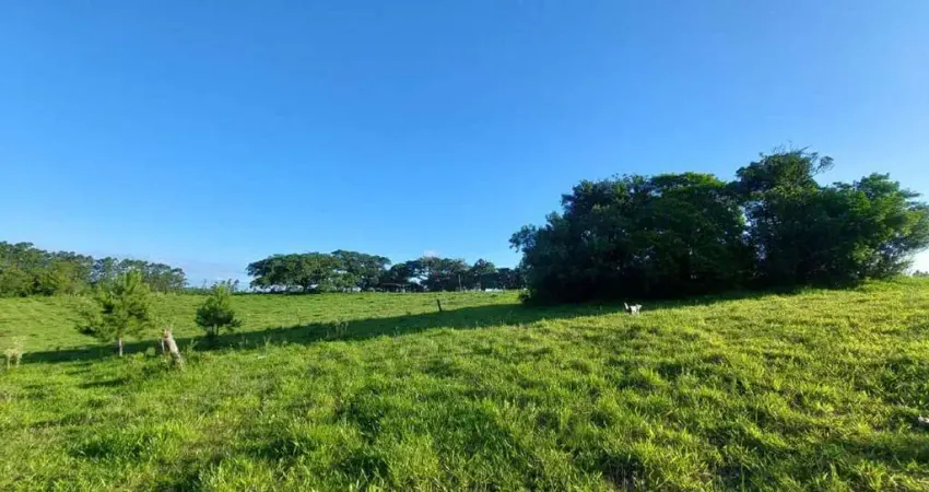Chácara / sítio à venda na Estrada dos Cunha, 2691, Santo Onofre, Viamão