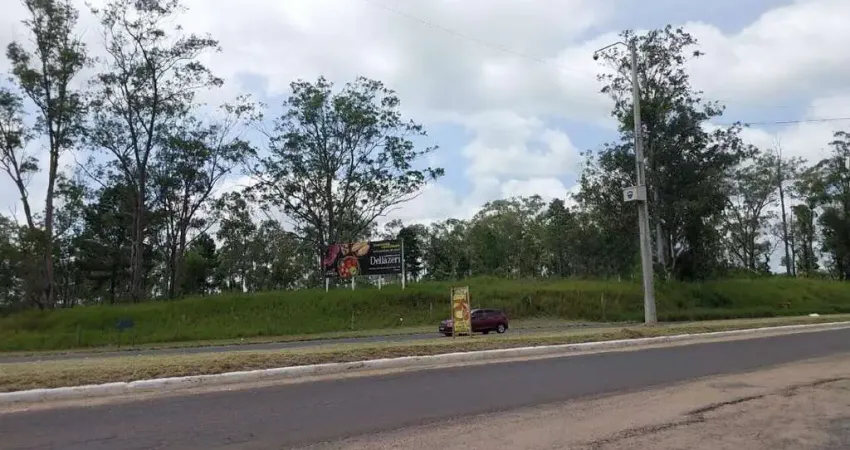 Terreno à venda na Rodovia RS118, 3359, Tarumã, Viamão