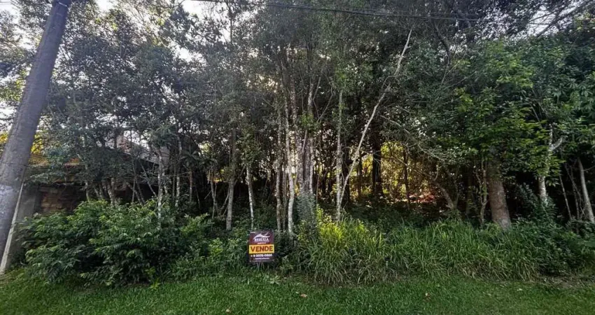 Terreno em condomínio fechado à venda na Rua Ipê Roxo, s/n, São Lucas, Viamão