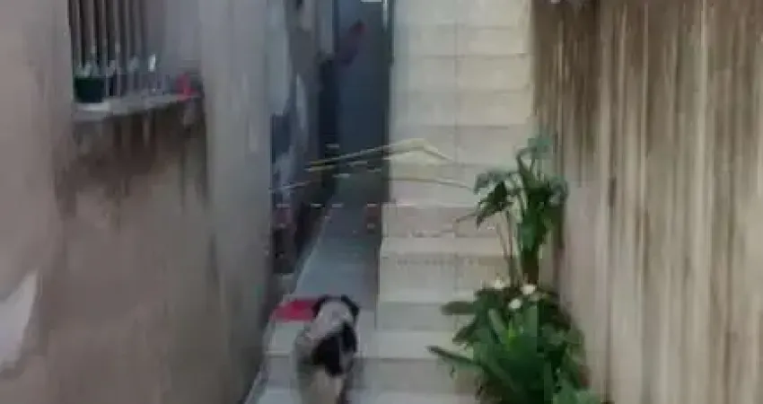 Casa com 4 quartos à venda na Rua Júlia Lemos Rogério, A2m7a6ral , Jardim Casa Branca, Suzano