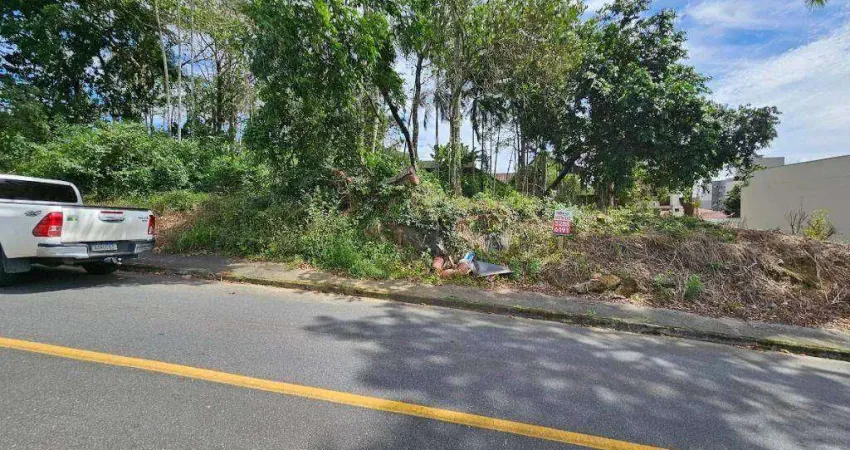 Terreno à venda, 594 m² por R$ 595.000,00 - Escola Agrícola - Blumenau/SC
