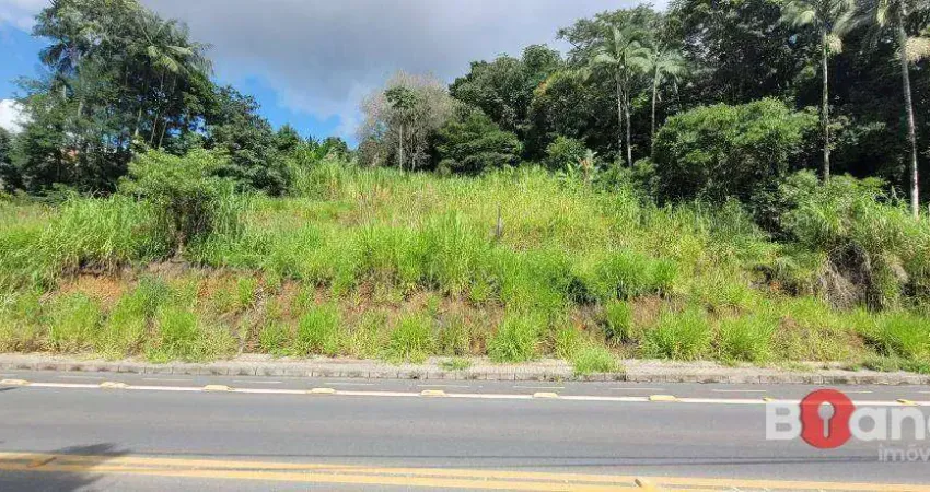 Terreno à venda, 1009 m² por R$ 480.000,00 - Itoupavazinha - Blumenau/SC