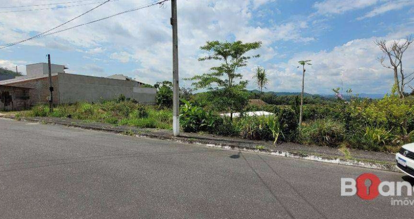 Terreno à venda, 4658 m² por R$ 650.000,00 - Fortaleza Alta - Blumenau/SC