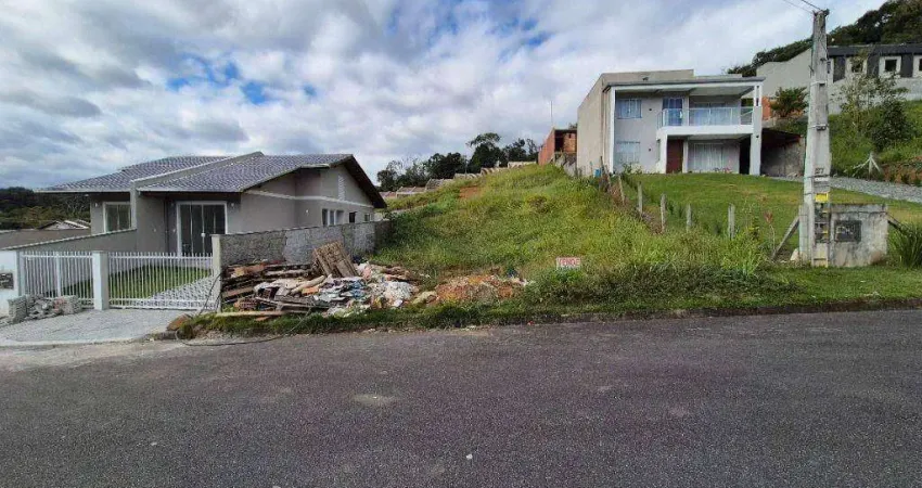Terreno à venda, 390 m² por R$ 178.000,00 - Itoupava Central - Blumenau/SC