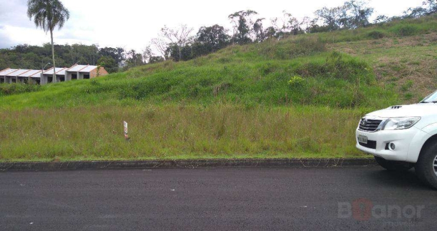 Terreno à venda, 390 m² por R$ 178.000,00 - Itoupava Central - Blumenau/SC